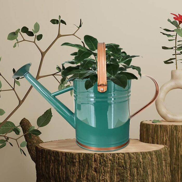 Metal Watering Can for Outdoor and Indoor Plants, Watering Can Decor, 1 Gallon (1 Gallon Green2) - Image 9