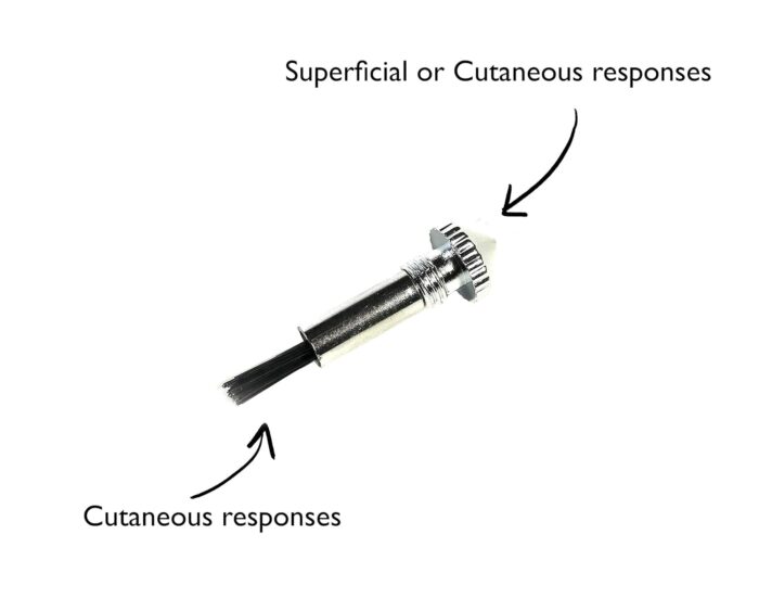 EMI Platinum Series Tromner Neurological Deluxe Reflex Hammer - Image 3
