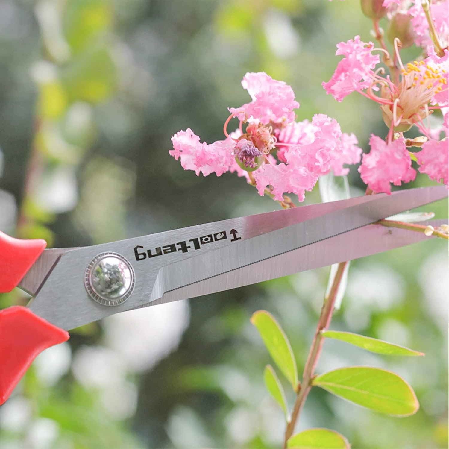 Extra Long Garden Scissor, Stainless Steel Pruning Shears, Bonsai Plant Trimming Scissors for thorny roses plant Flowers Harvesting Herbs Fruits or Vegetables