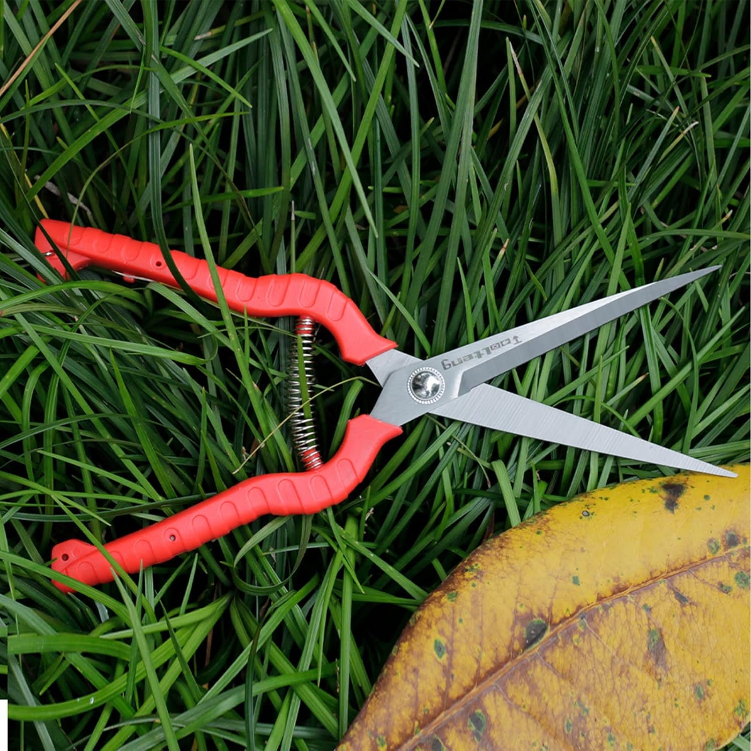 Extra Long Garden Scissor, Stainless Steel Pruning Shears, Bonsai Plant Trimming Scissors for thorny roses plant Flowers Harvesting Herbs Fruits or Vegetables