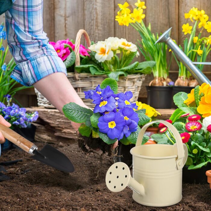 1Set Small Metal Watering Can with Long Spout Gardening Tools Stylish Watering Pot for Precise Watering of Flowers Succulents for Use - Image 2