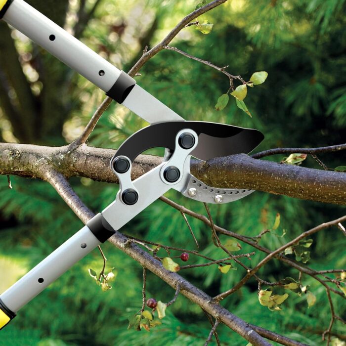 JARDINEER 3PCS Extendable Anvil Loppers for Tree Trimming Heavy Duty, 28-38.5" Branch Cutter with 2 Inch Cutting Capacity, Include Garden Tree Loppers, Pruning Shear and SK5 Spare Blade - Image 5