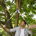 JARDINEER 3PCS Extendable Anvil Loppers for Tree Trimming Heavy Duty, 28-38.5" Branch Cutter with 2 Inch Cutting Capacity, Include Garden Tree Loppers, Pruning Shear and SK5 Spare Blade - Image 6