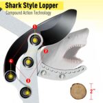 JARDINEER 3PCS Extendable Anvil Loppers for Tree Trimming Heavy Duty, 28-38.5" Branch Cutter with 2 Inch Cutting Capacity, Include Garden Tree Loppers, Pruning Shear and SK5 Spare Blade - Image 3
