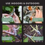 Modern Sprout Hand Pruners - Lightweight Pruning Shears W/Easy Lock- Gardening Scissors - Bypass Sharp Carbon Steel Blade - Rust Resistant - Garden Tools - Reusable Holster - Sage - Image 4