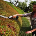 WORX WG801 20V 2 in 1 Cordless Hedge Trimmer, 4" Grass Shear & 8" Shrub Trimmer with 2 Blades, Battery & Charger Included - Image 9
