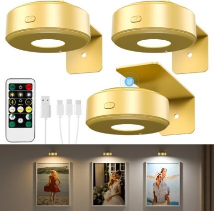 3PCS Picture Lights with Remote, Wireless Rechargeable Battery Wall Light for Paintings, 3 Colors Paintings Light Dimmable and Timer Metal Art Light for Display, Wall, Artwork, Gallery (Gold)