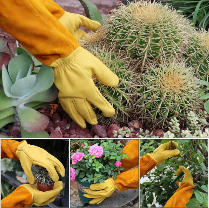Long Gardening Gloves for Women & Men, Rose Pruning Gloves Thorn Proof, Adjustable Cuff, Breathable Leather Cowhide Garden Gloves, Garden Tools for Gardener,Yard Work, Cactus,Rose, Blackberry(Small) - Image 4