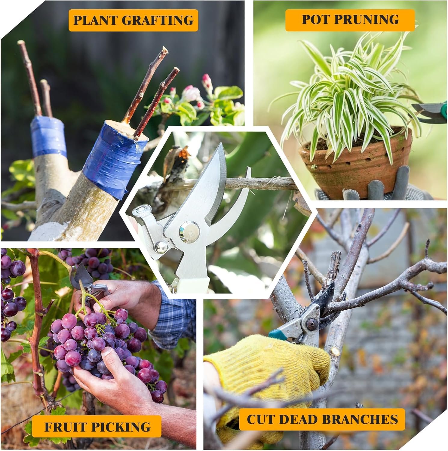 20Pcs Pruning Shears for Gardening, Beige Garden Clippers Handheld Heavy Duty Plant Scissors Bypass Pruning Shears for Gardening Yard Hedge Flowers Tree Trimming Plant Cutter