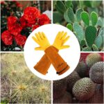 Long Gardening Gloves for Women & Men, Rose Pruning Gloves Thorn Proof, Adjustable Cuff, Breathable Leather Cowhide Garden Gloves, Garden Tools for Gardener,Yard Work, Cactus,Rose, Blackberry(Small) - Image 6